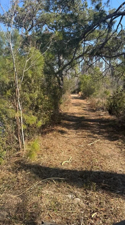 Southern Stone Land Management a